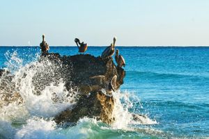 Package - Packages in Riviera Maya