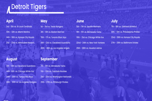 Actividad - Grandes Ligas de Béisbol: Detroit Tigers en Comerica Park - Entrada