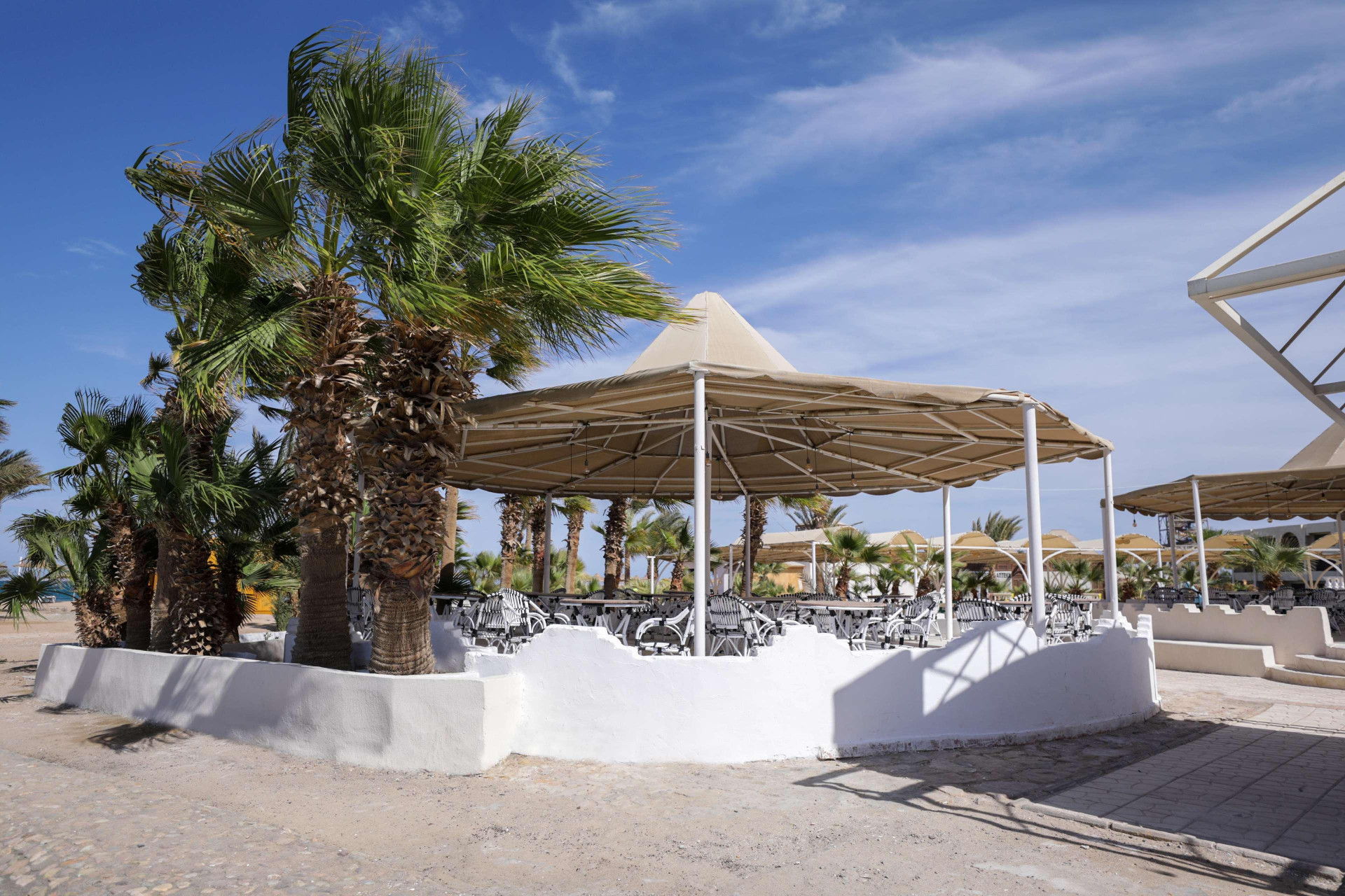 Bar/Salón Calimera Blend Paradise Resort