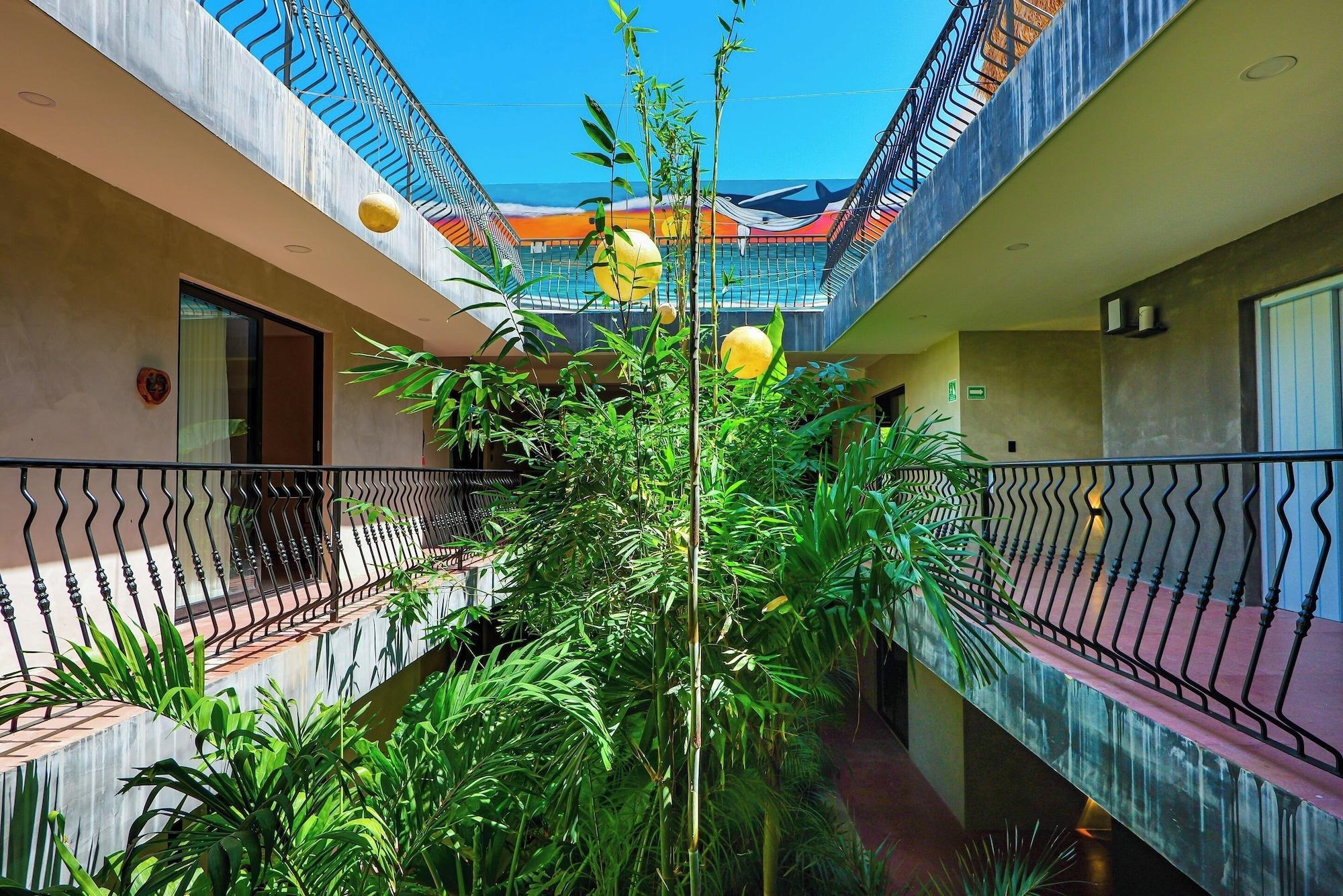 Varios Calea Tulum