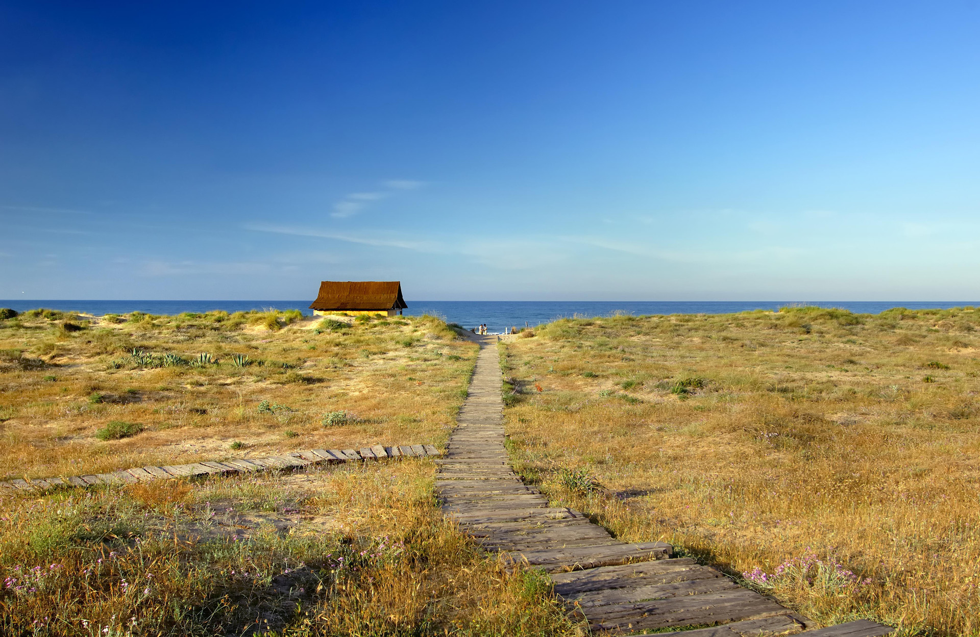 Playa Oliva Nova Beach & Golf Hotel