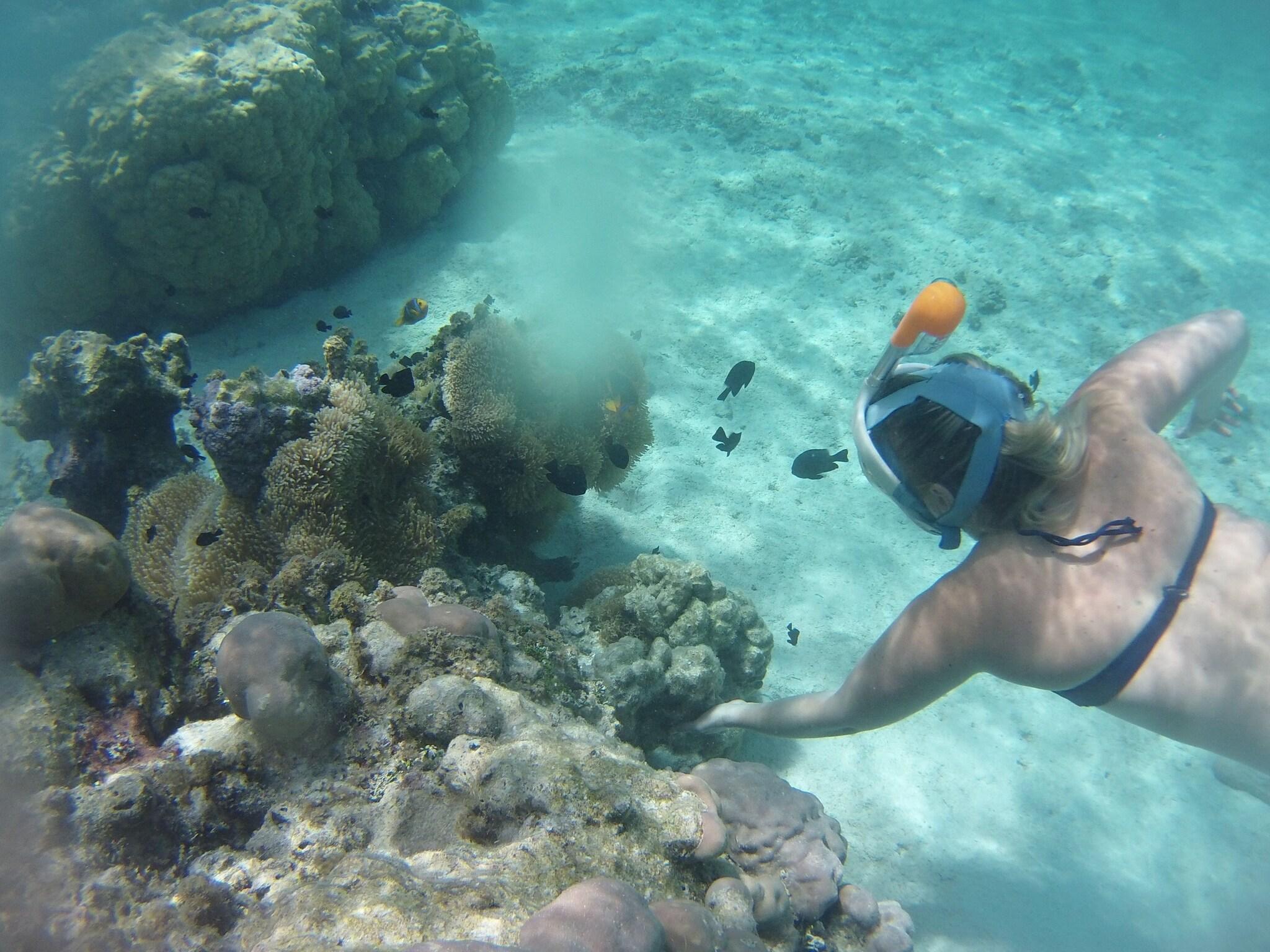 Vista Exterior Fare Pea Iti