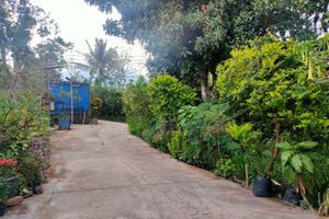 Alojamiento - Hotel Rinosari Bandungan