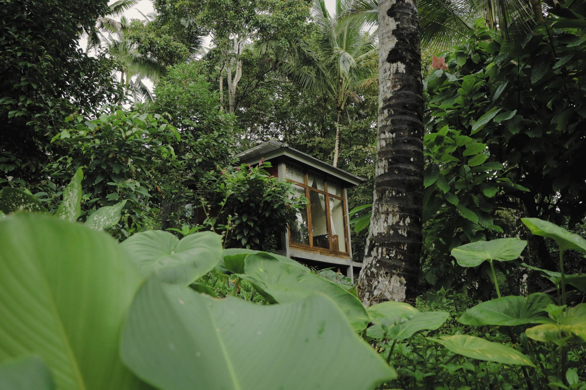 Comodidades del Alojamiento Bali Secret Jungle