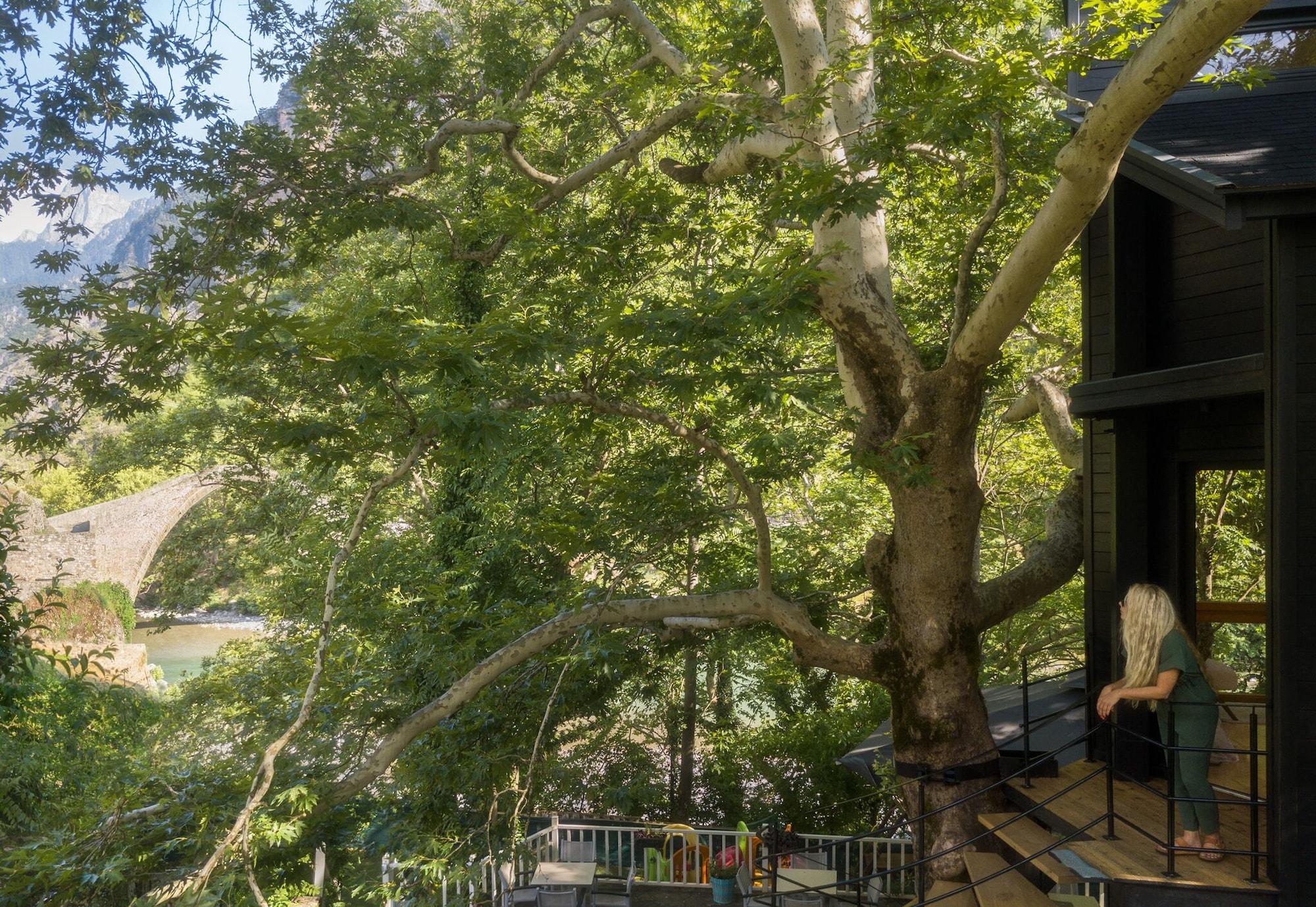 Equipamiento de Habitación Aoos river Treehouse