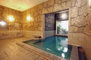 Alojamiento - Hotel Route-Inn Court Ina