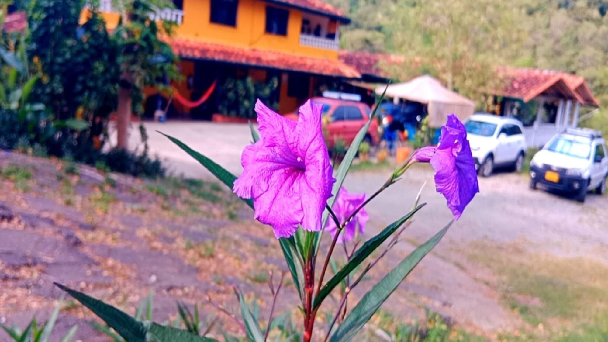 Comodidades del Alojamiento Hotel Natural Sea