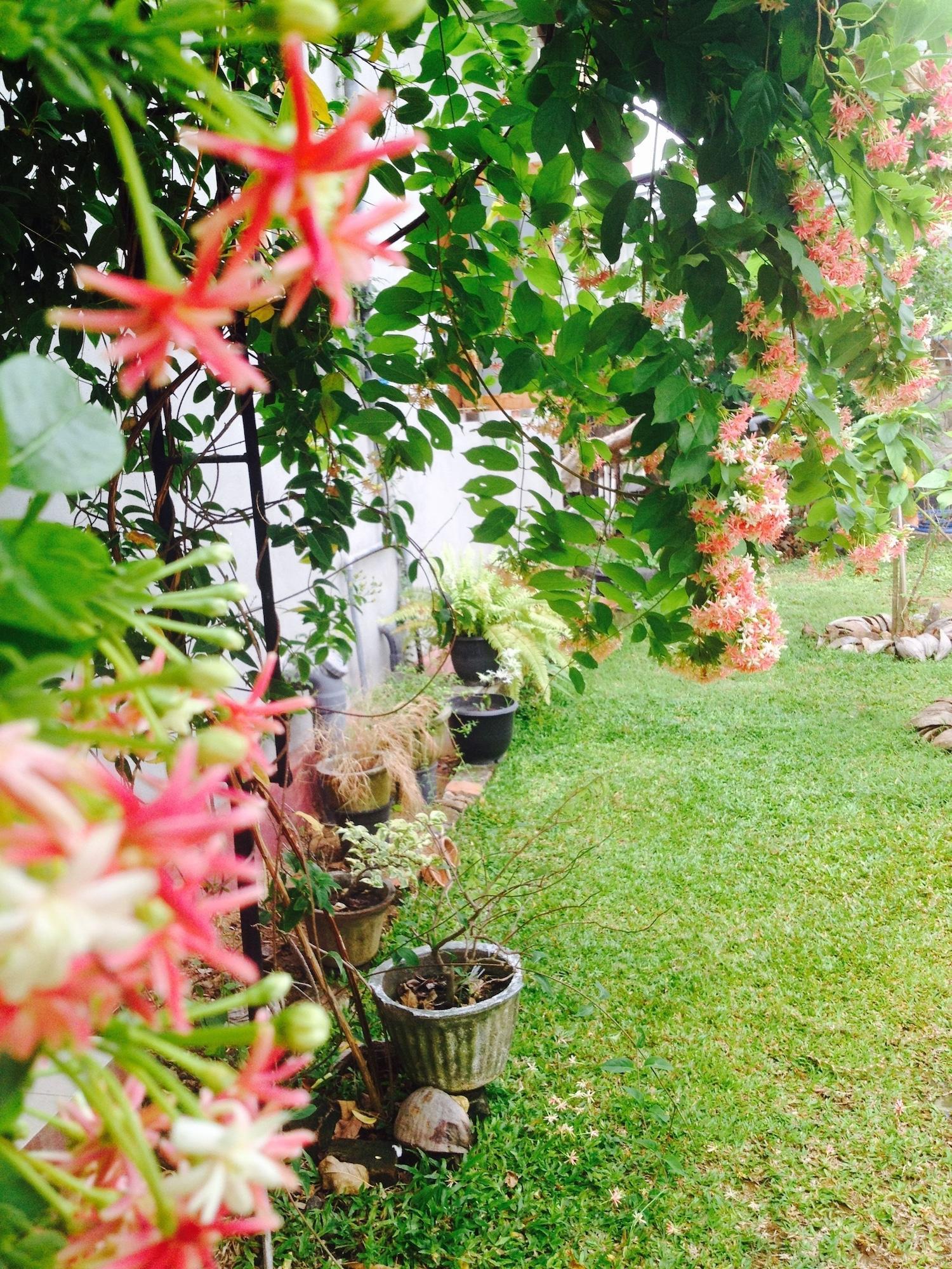 Vista Exterior Manik Home Stay