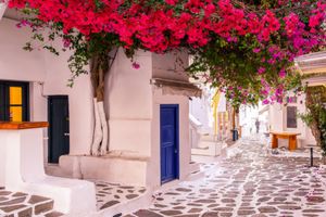 Actividad - Cata de vinos griego en Mykonos