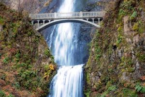 Actividad - Trolebús turístico de las cascadas de Portland