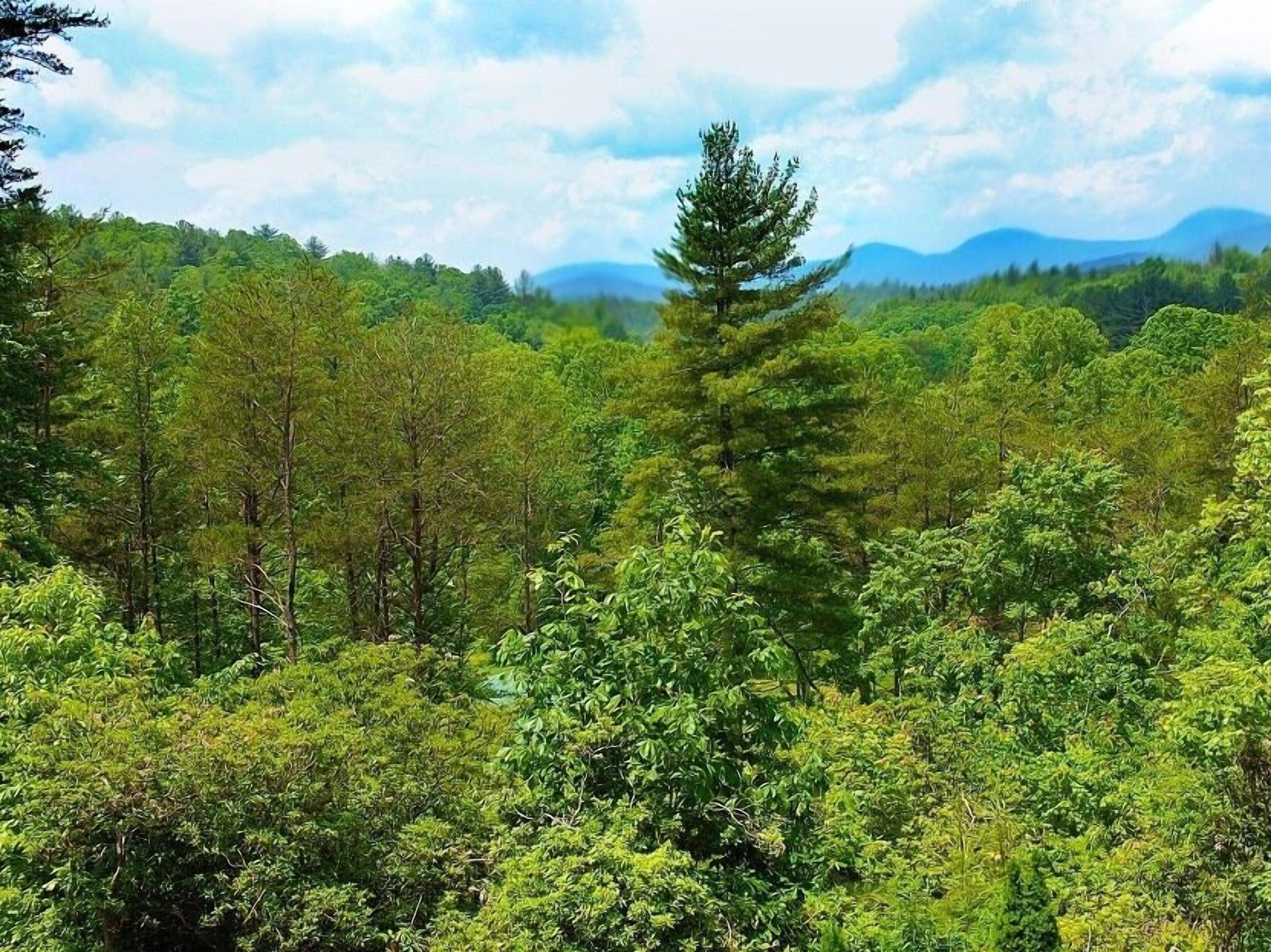 Comodidades del Alojamiento Long Mountain Lodge