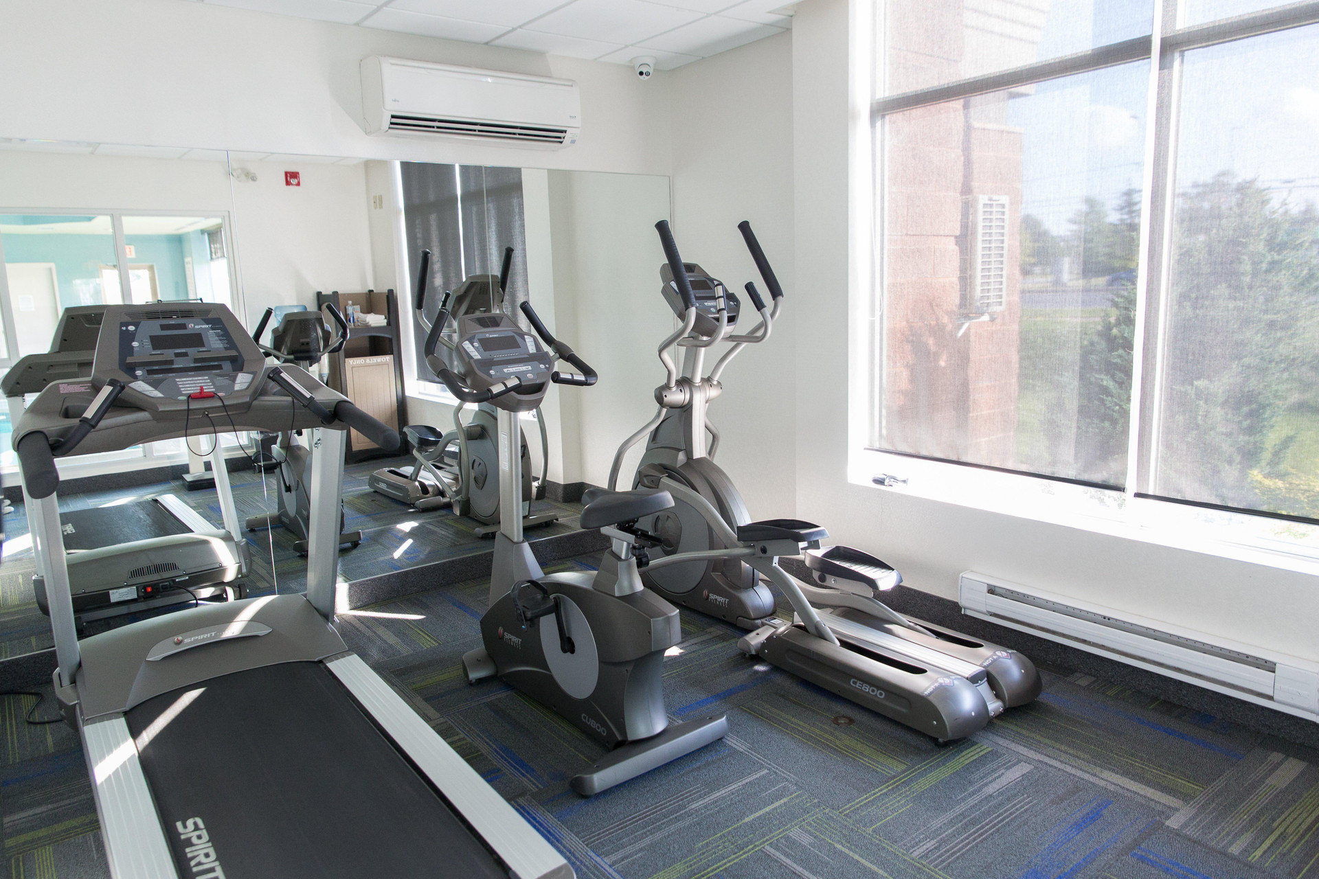 Instalaciones Recreativas Holiday Inn Express & Suites Brampton by IHG