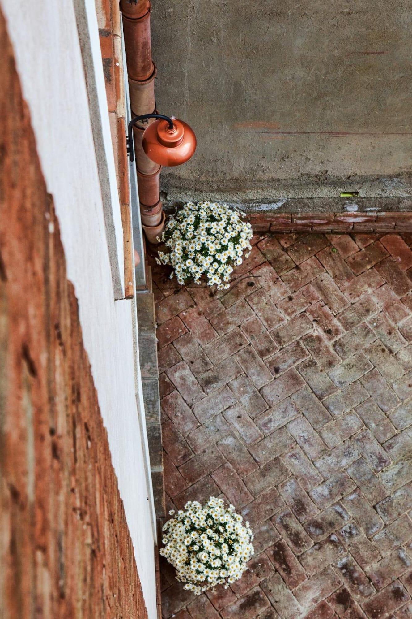 Comodidades del Alojamiento B&B La Casa dei Miraglia San Cataldo