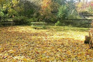 Alquiler Vacacional - Summer in Brainerd  at Love Lake Hacienda