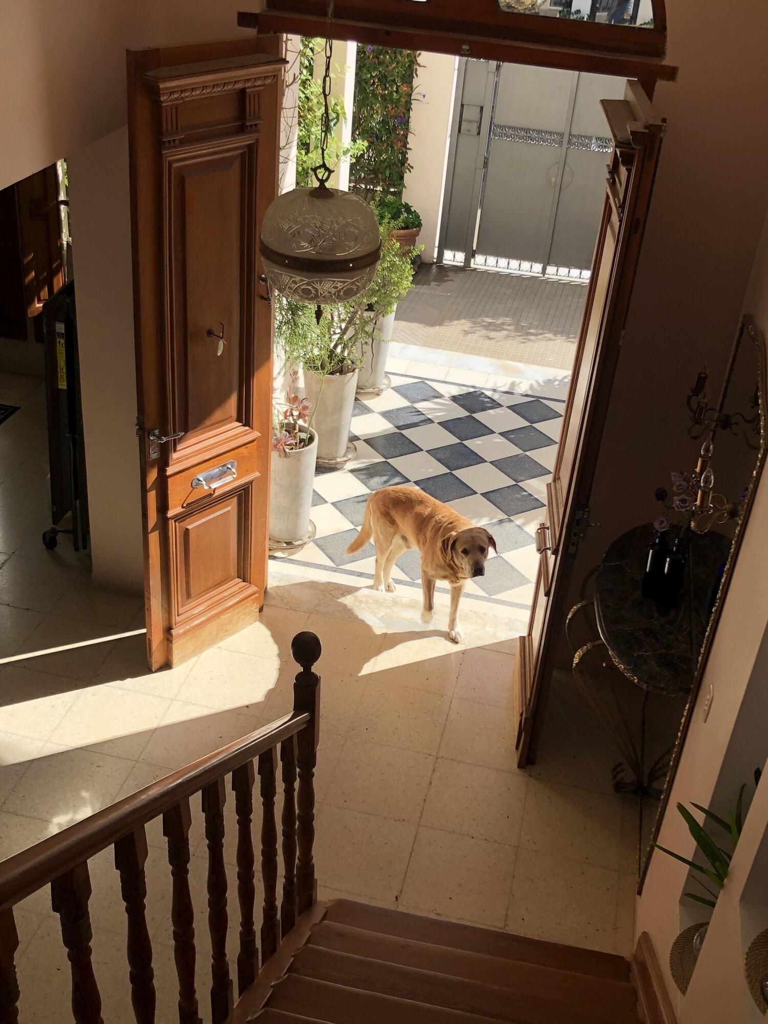 Vista Lobby Buon Riposo