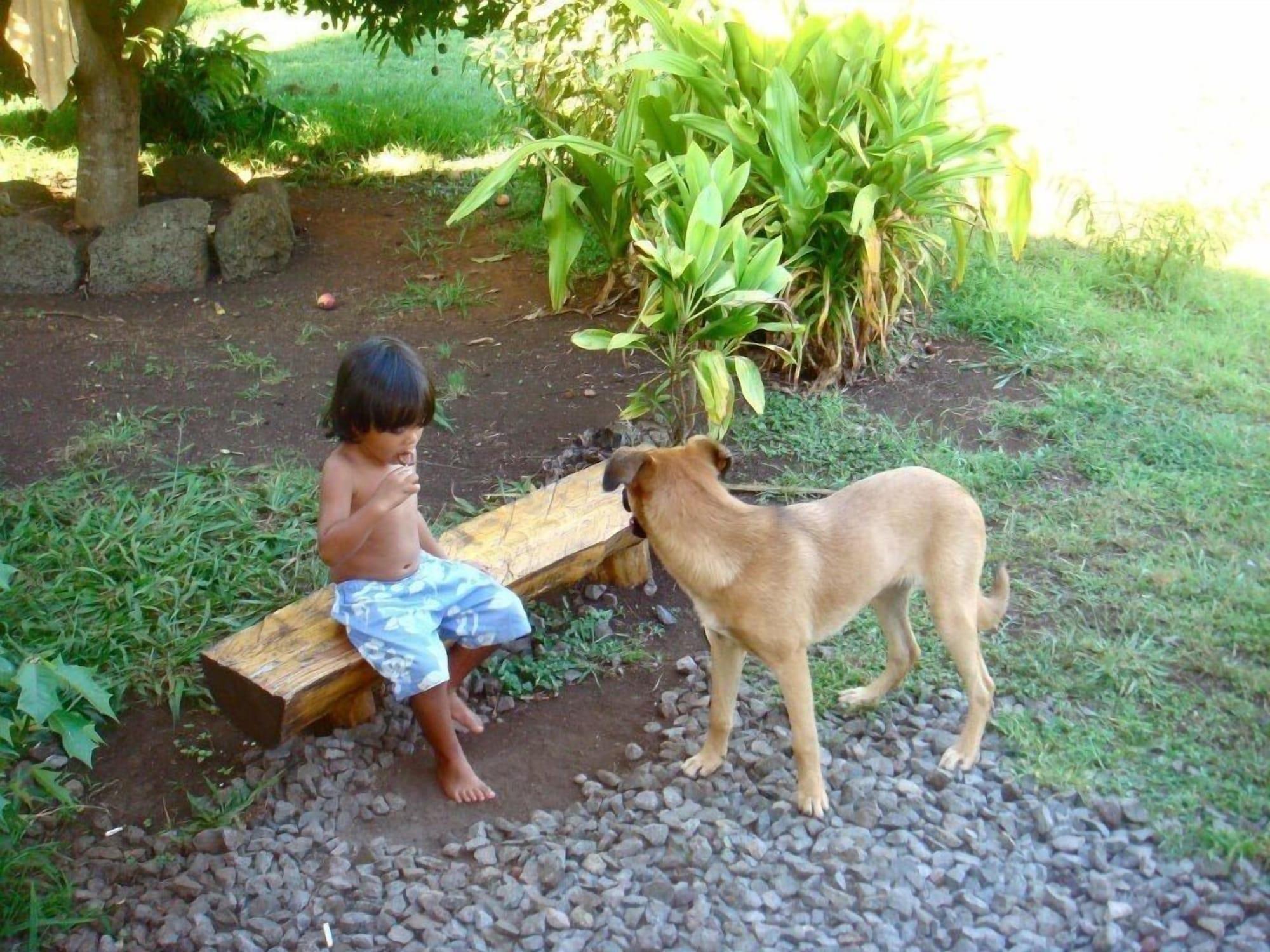 Vista Exterior Kahina Lodge