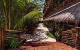 La Palma Holbox