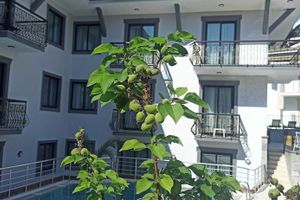 Alojamiento - Orange Garden Apart Hotel