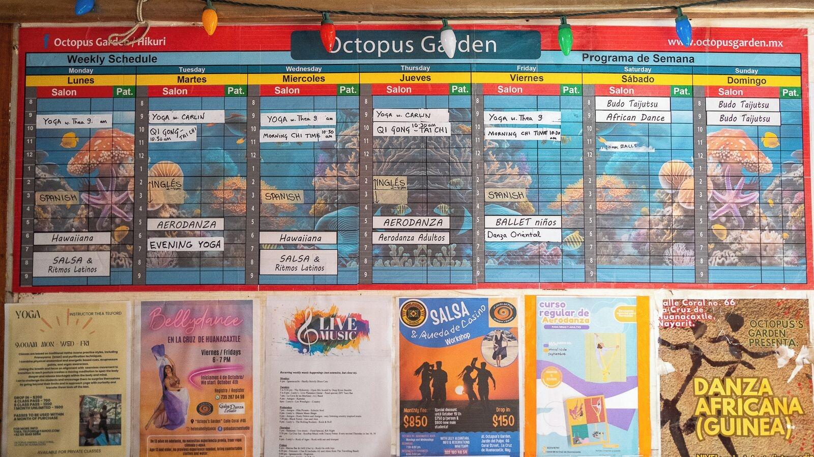 Vista Lobby The Octopus's Garden