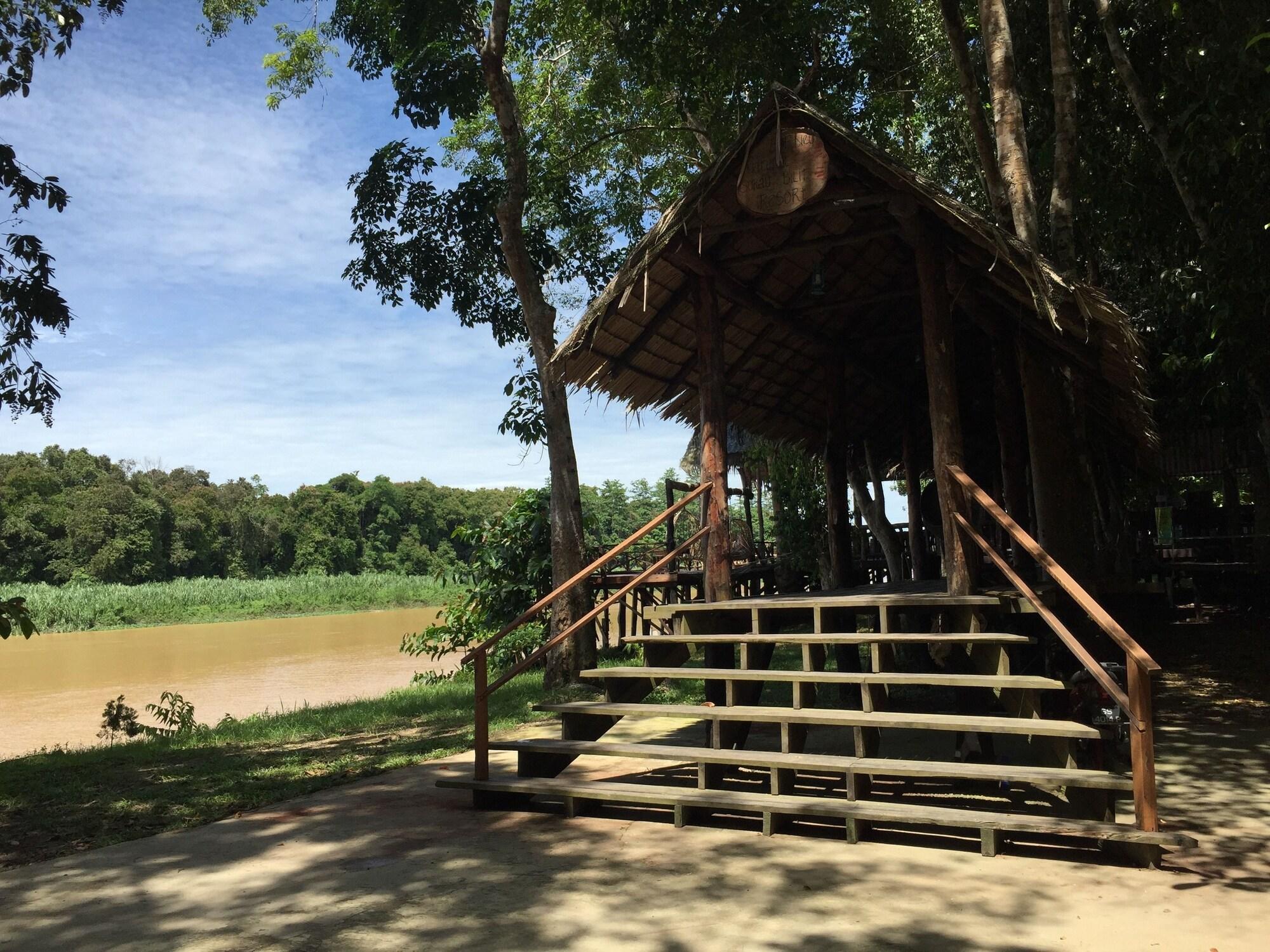 Vista Lobby Borneo Natural Sukau Bilit Resort