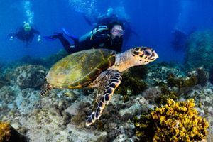 Passeio - Mergulho em Arraial do Cabo com Fotos e Lanche