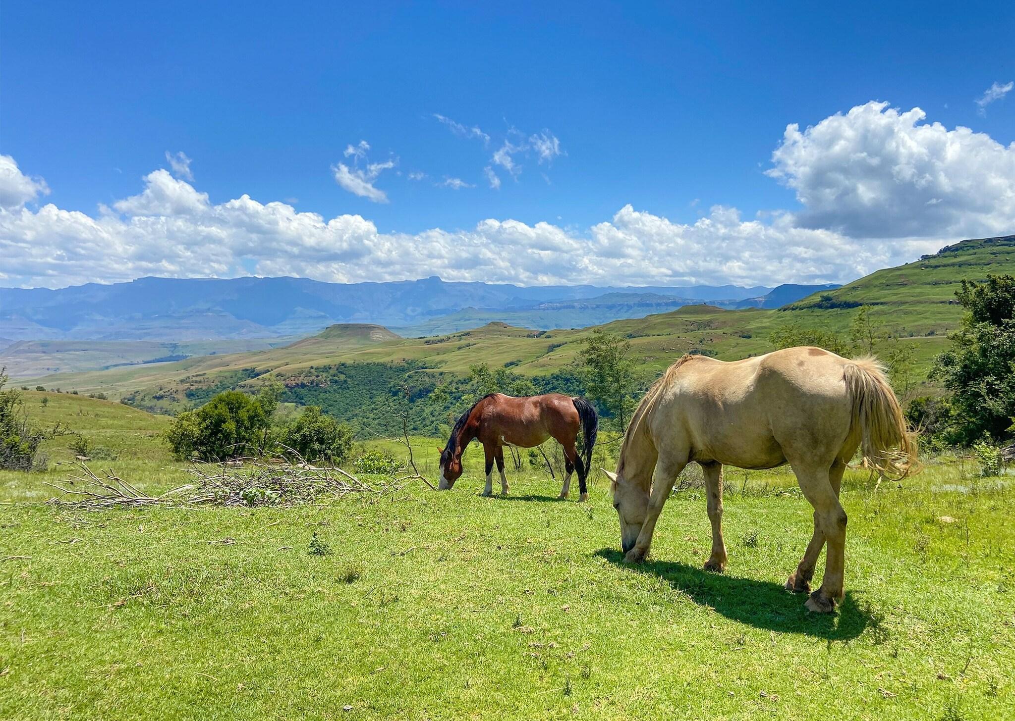 Instalaciones Recreativas Little Switzerland Resort