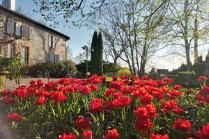 Alojamiento - Chambres d'hôtes Le Prieuré