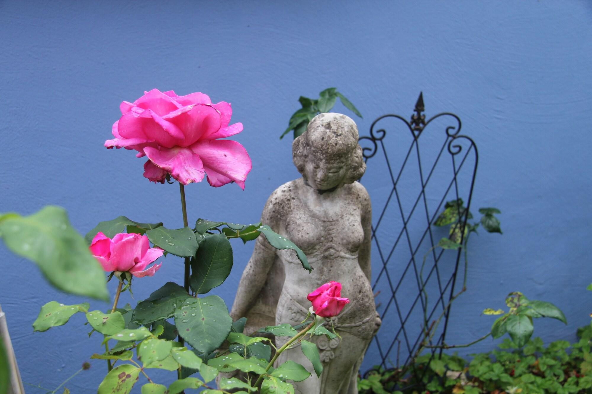 Varios Bed & Breakfast No. 31 im Rosengarten