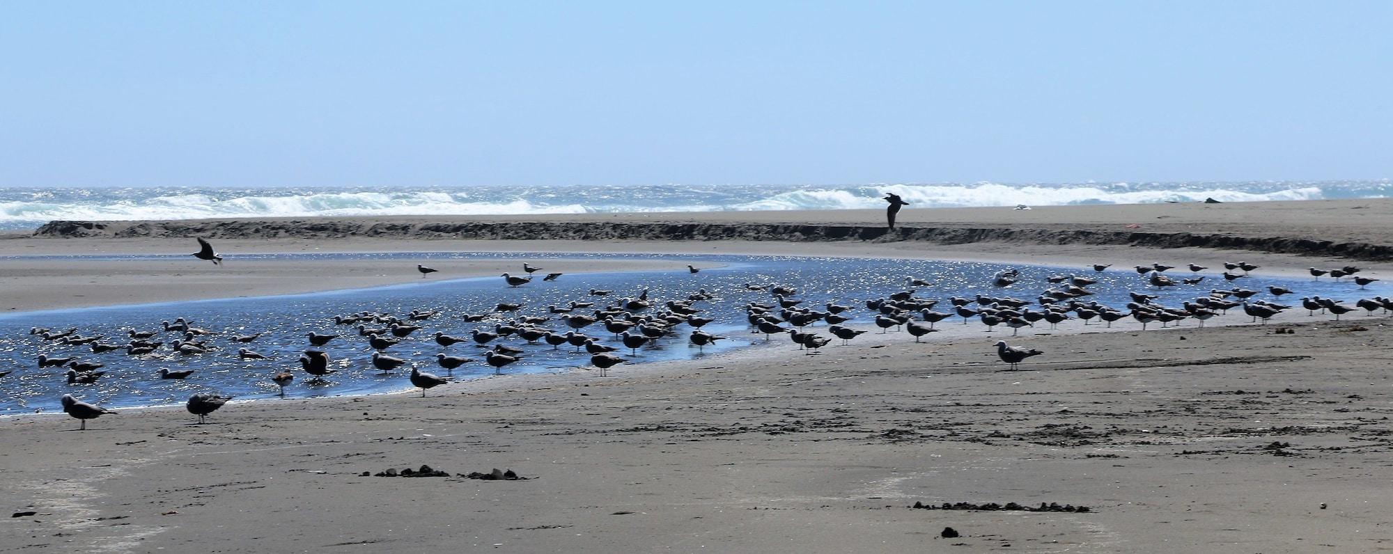 Playa Posada del Parque Lodge