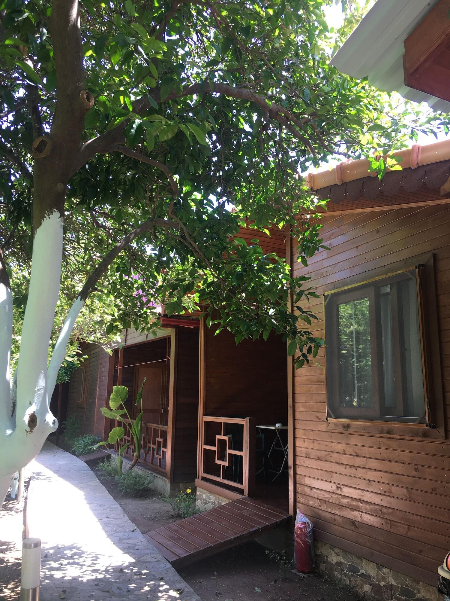 Vista Exterior Cinderella Pansiyon