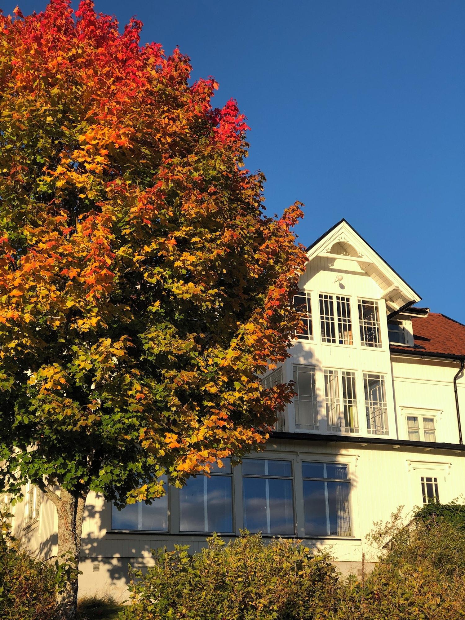 Vista Exterior Mesnabakken pensjonat