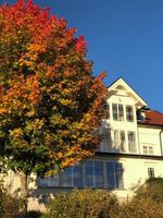 Alojamiento - Mesnabakken pensjonat