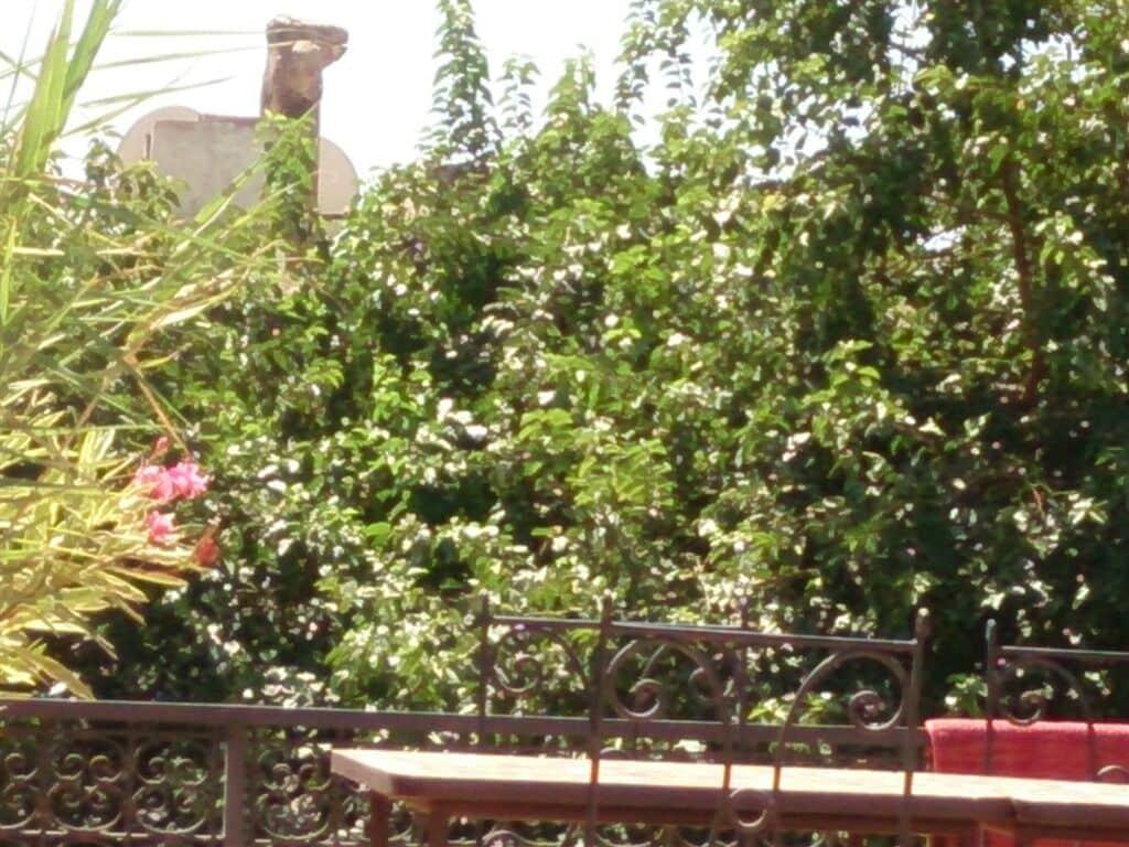 Vista Exterior Riad Swaka