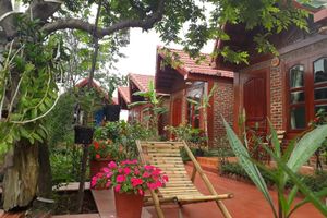Alojamiento - Tam Coc Rice Fields Homestay