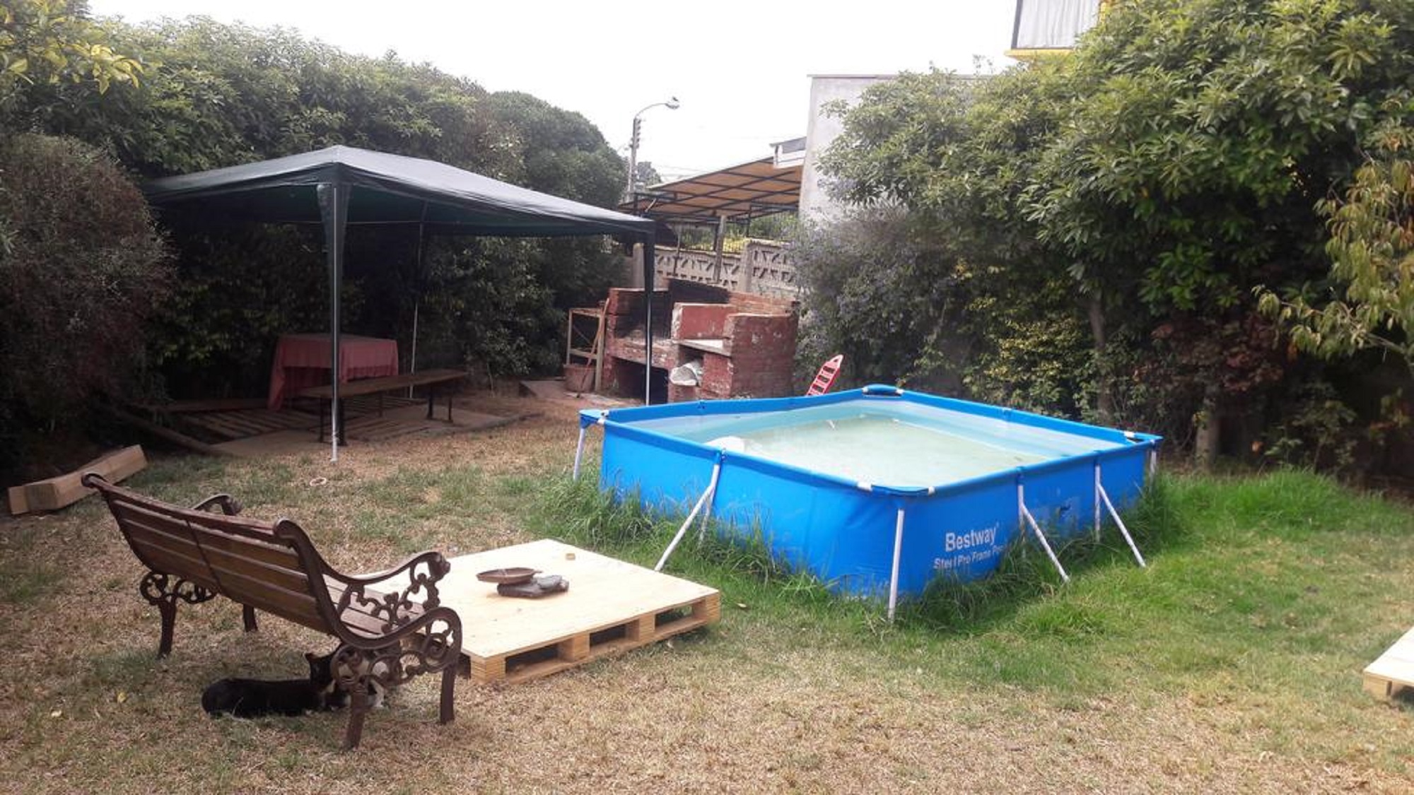 Vista Piscina Casona Amarilla - Pets Friendly