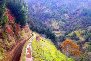 Actividad - Ruta por las levadas Referta y Castelejo