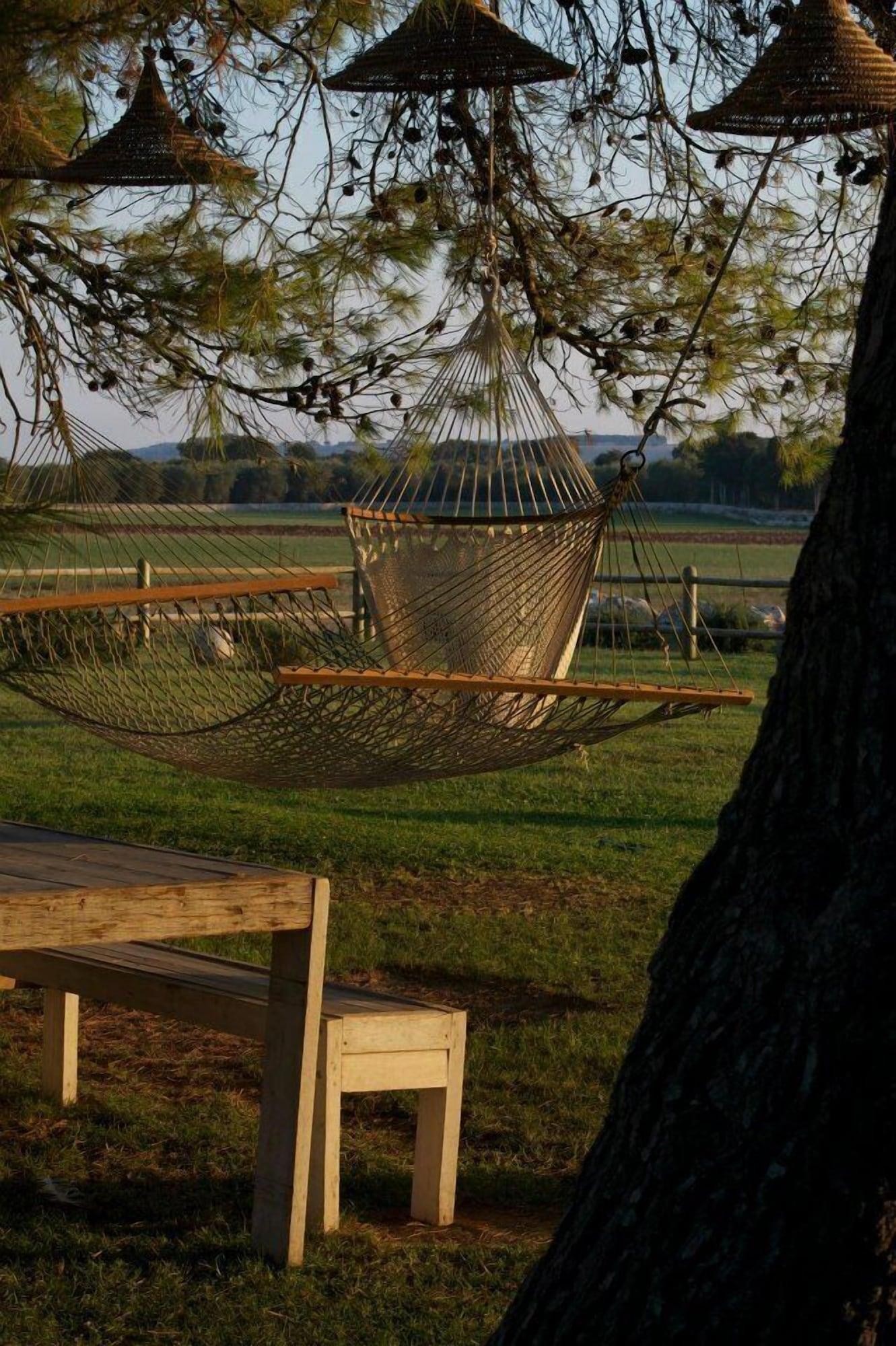 Comodidades del Alojamiento Masseria Autigne