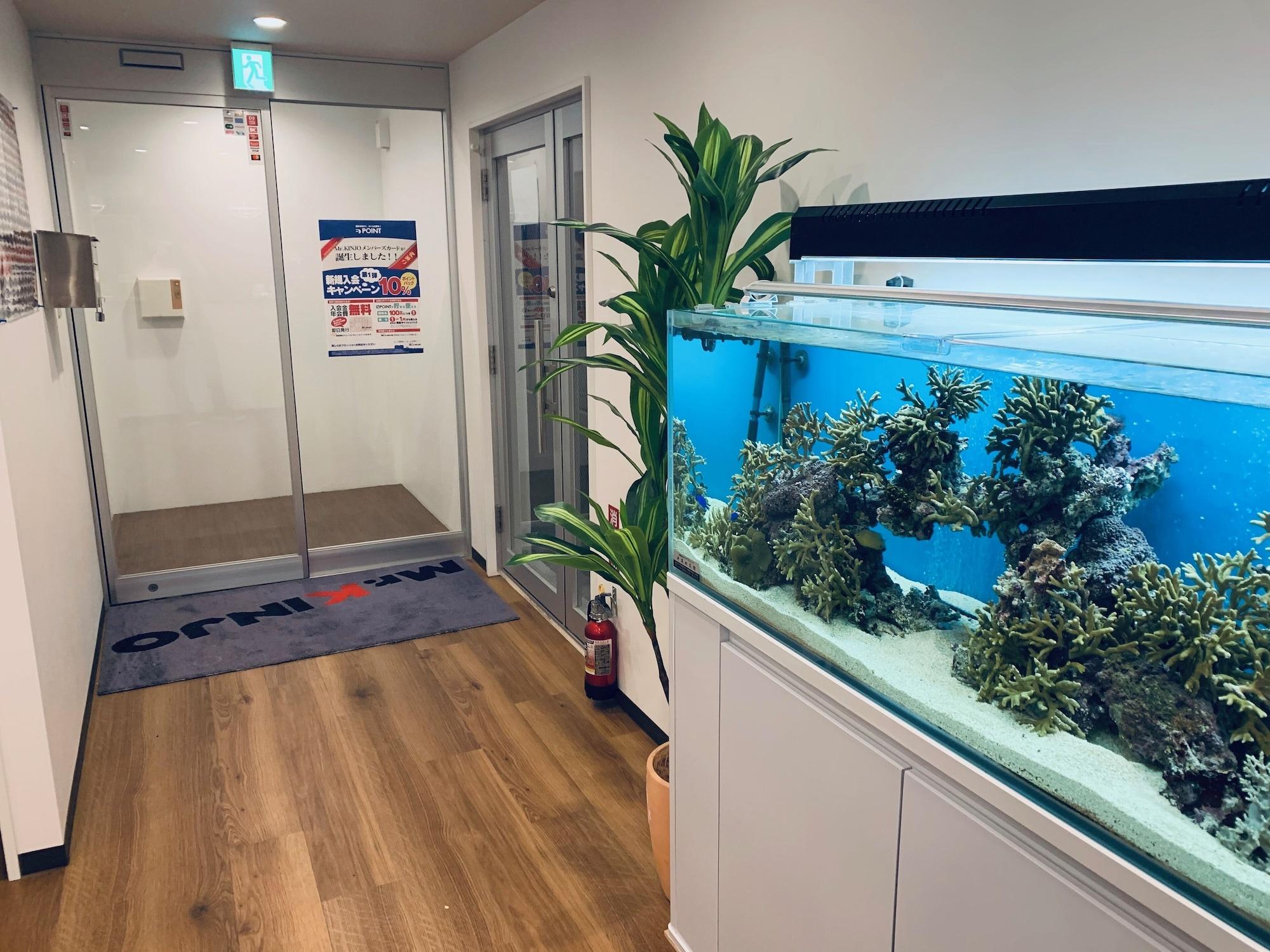 Vista Lobby Mr.KINJO in Rinzu SERAGAKI