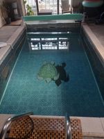Alquiler Vacacional - Maison de Campagne Paisible Avec Piscine à Proximité de Rennes