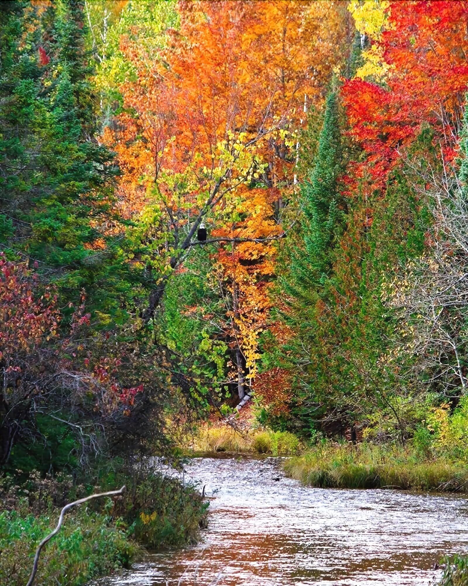 Instalaciones Recreativas A Breath of Heaven B&B