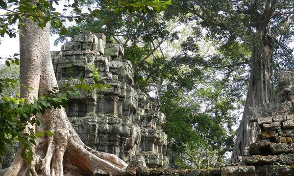 Sangkat Svay Dangkum