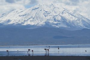 Actividad - Laguna de Salinas