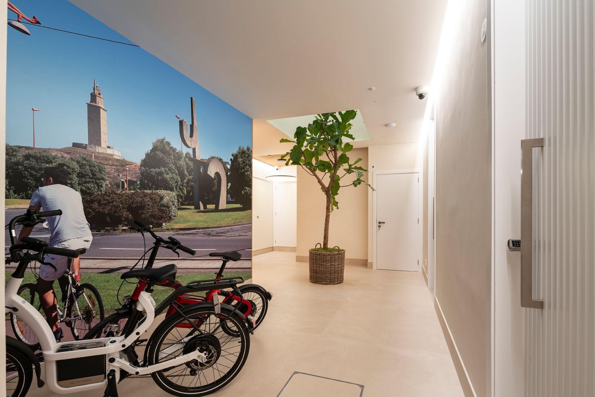 Variados (as) NORO Plaza