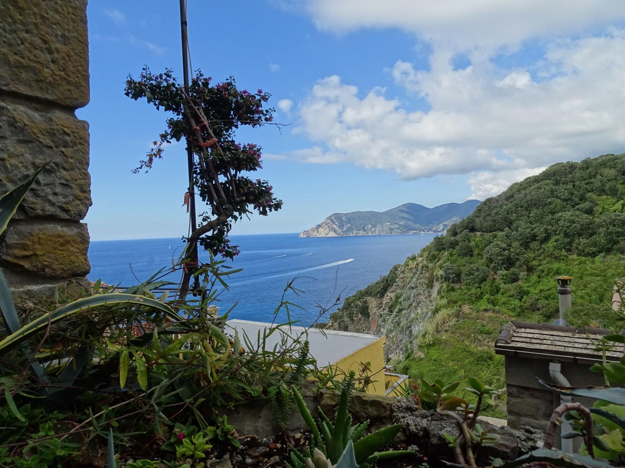 Bar/Salón Il Magàn - Cinque Terre