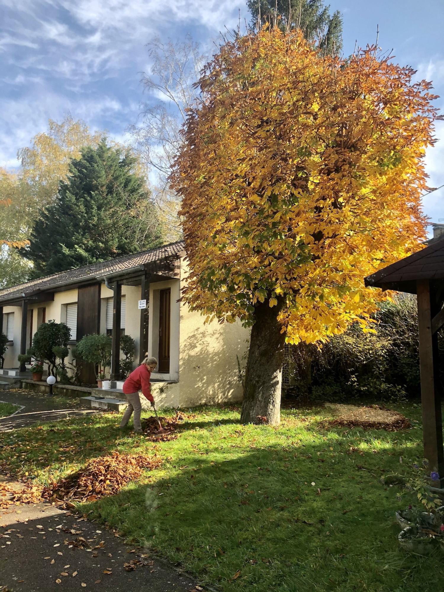 Vista Exterior Hôtel les Tilleuls-Montbéliard Sud-Audincourt