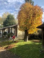 Alojamiento - Hôtel les Tilleuls-Montbéliard Sud-Audincourt