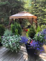 Alquiler Vacacional - Banff's Finest Guest Studio   Glacier Studios