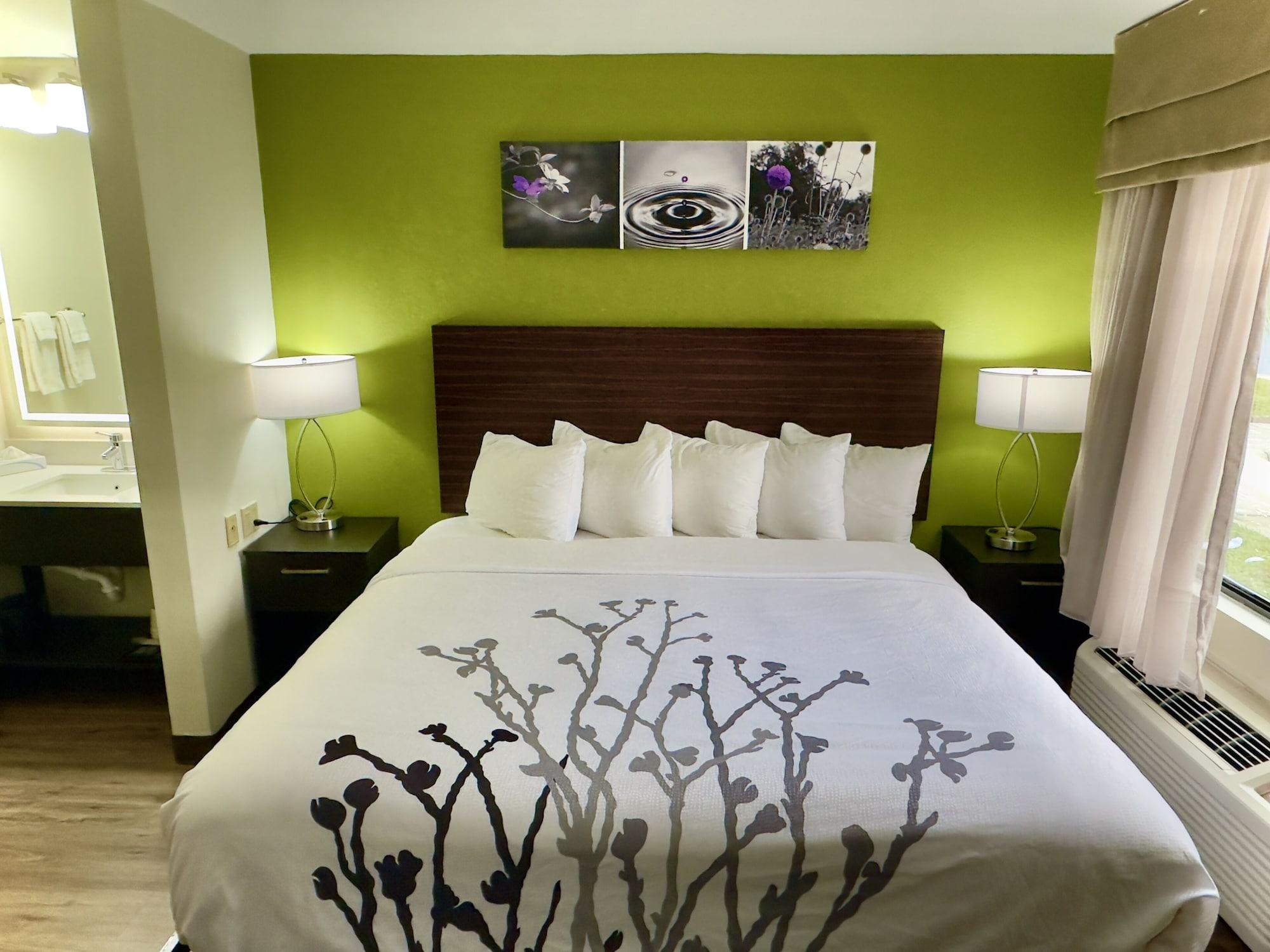 Habitación Sleep Inn Savannah Gateway I-95