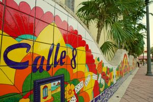 Actividad - Tour por Miami y barco por las casas de los famosos