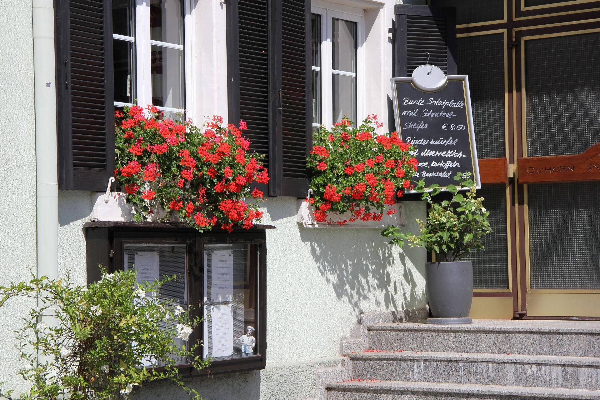 Vista Exterior Landgasthof Ochsen
